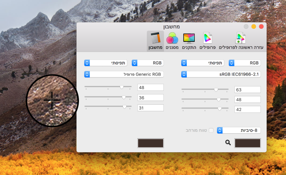 החלונית ״מחשבון״ מציגה את ערכי הצבעים עבור פיקסל בשני פרופילי צבעים שונים.