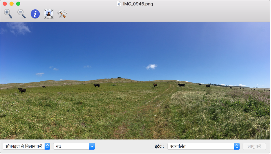 ColorSync यूटिलिटी विंडो में खेत में मौजूद गायों की छवि।