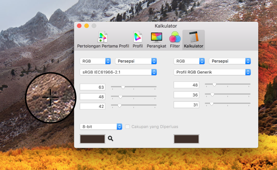 Panel Kalkulator menampilkan nilai warna untuk piksel dalam dua profil warna berbeda.