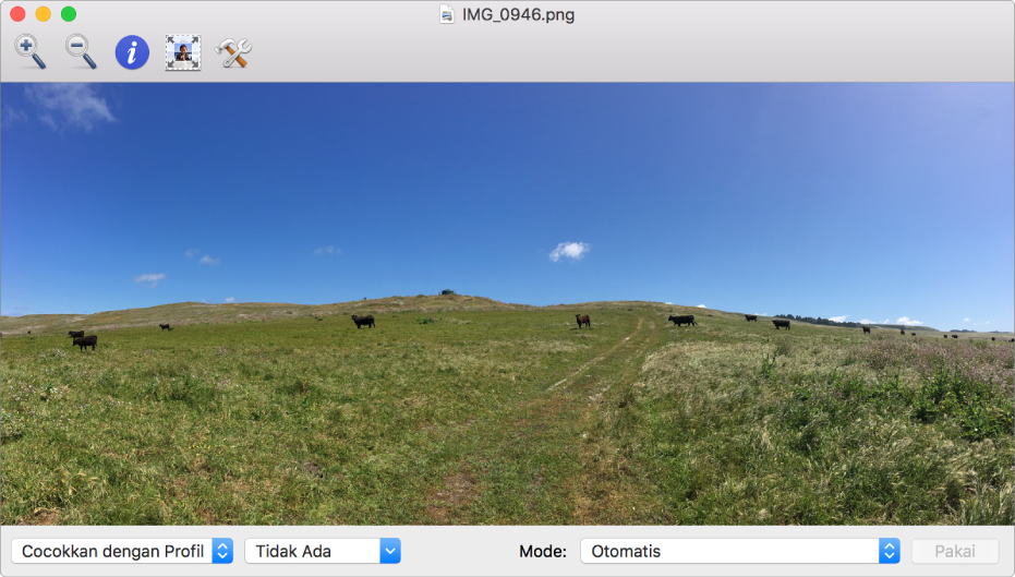 Gambar sapi di ladang dalam jendela Utilitas ColorSync.