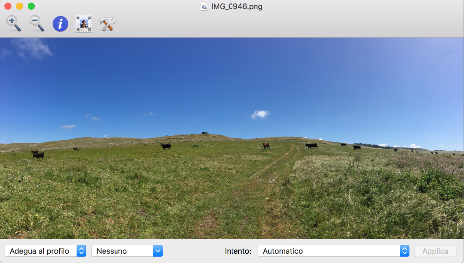 Un’immagine che ritrae mucche in un campo nella finestra di Utility ColorSync.
