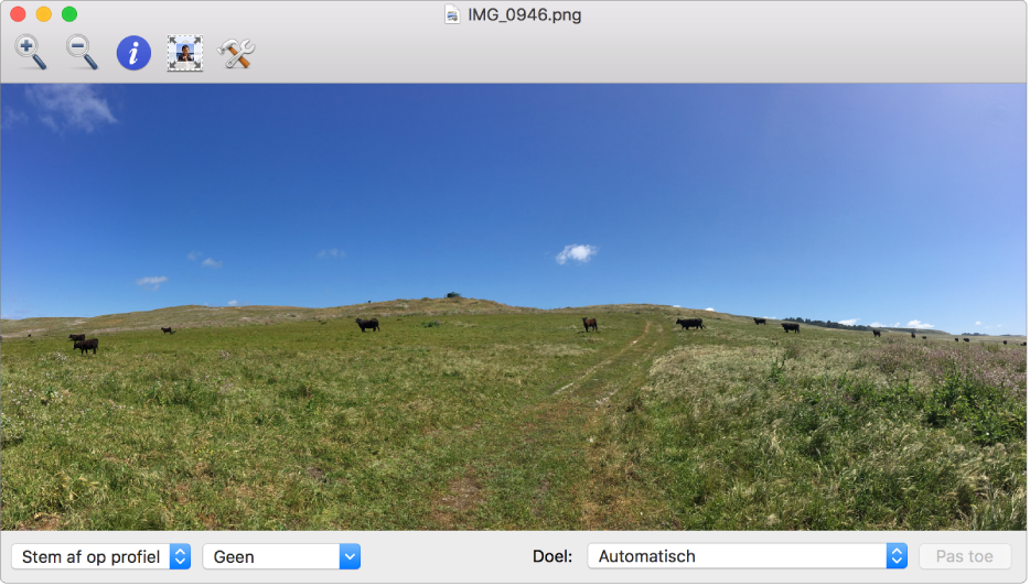 Een afbeelding van koeien in een weiland in het venster van ColorSync-hulpprogramma.