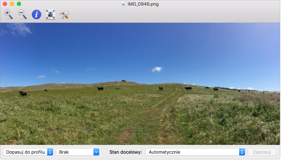 Obraz przedstawiający krowy na polu, wyświetlany w oknie Narzędzia ColorSync.