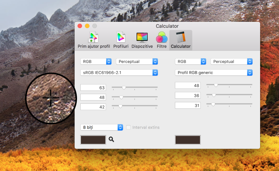 Panoul Calculator afișând valorile culorii pentru un pixel în două profiluri diferite de culoare.