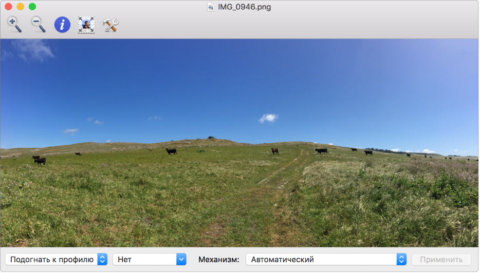 Изображение коров на поле в окне Утилиты ColorSync.