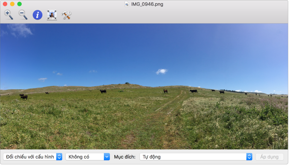 Hình ảnh những chú bò trên cánh đồng trong cửa sổ Tiện ích ColorSync.