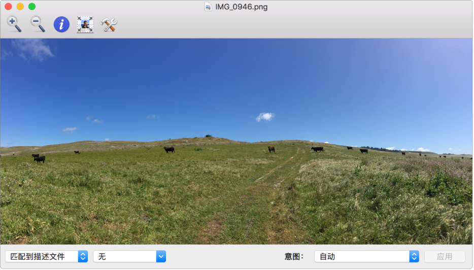 “ColorSync 实用工具”窗口某栏中的奶牛图像。