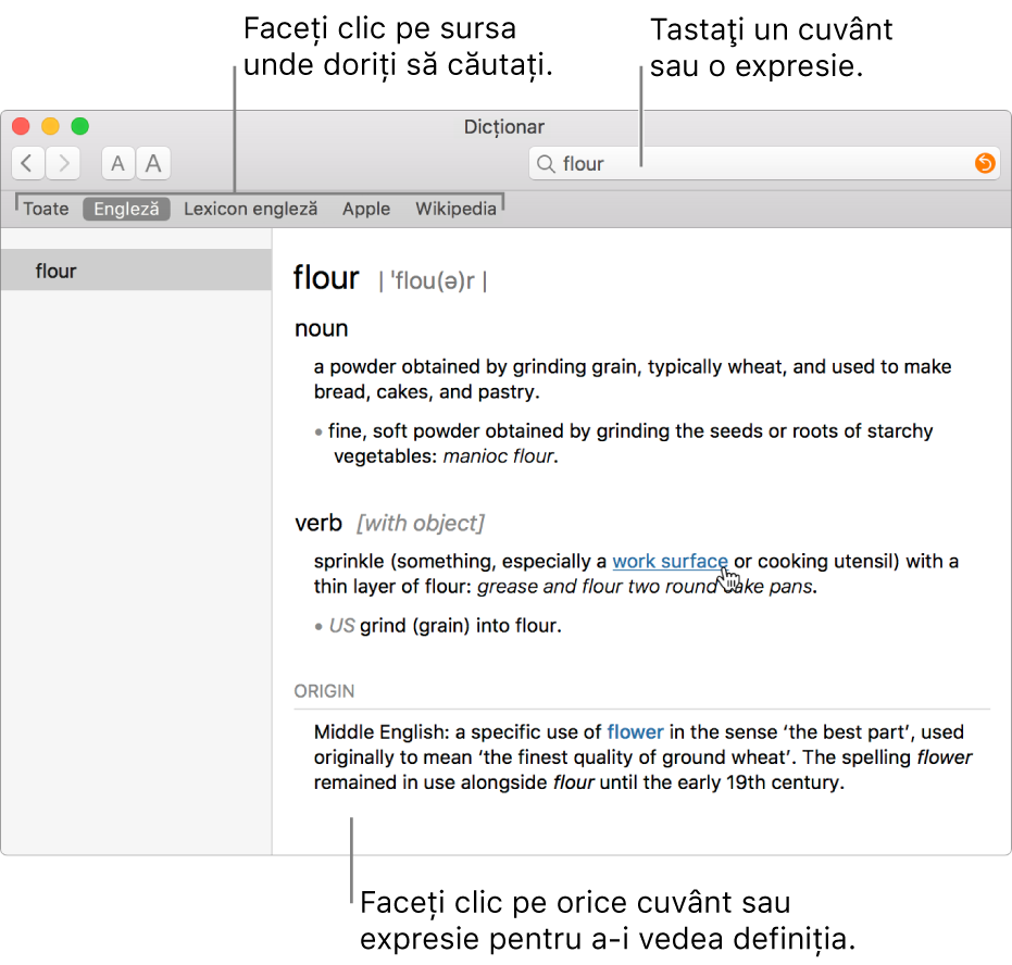 Fereastra completă Dicţionar, afişând o definiţie. Faceţi clic pe oricare cuvânt sau expresie din definiție pentru a-i vizualiza definiția. Pentru a selecta o sursă pentru căutare, faceţi clic pe numele său din bara sursă aflată sub bara de instrumente. Tastaţi un cuvânt sau o frază în câmpul de căutare.