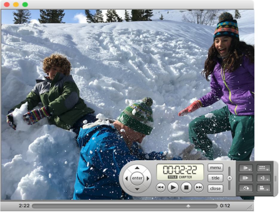 Окно программы «DVD-плеер» с воспроизводящимся домашним видео и пульт.