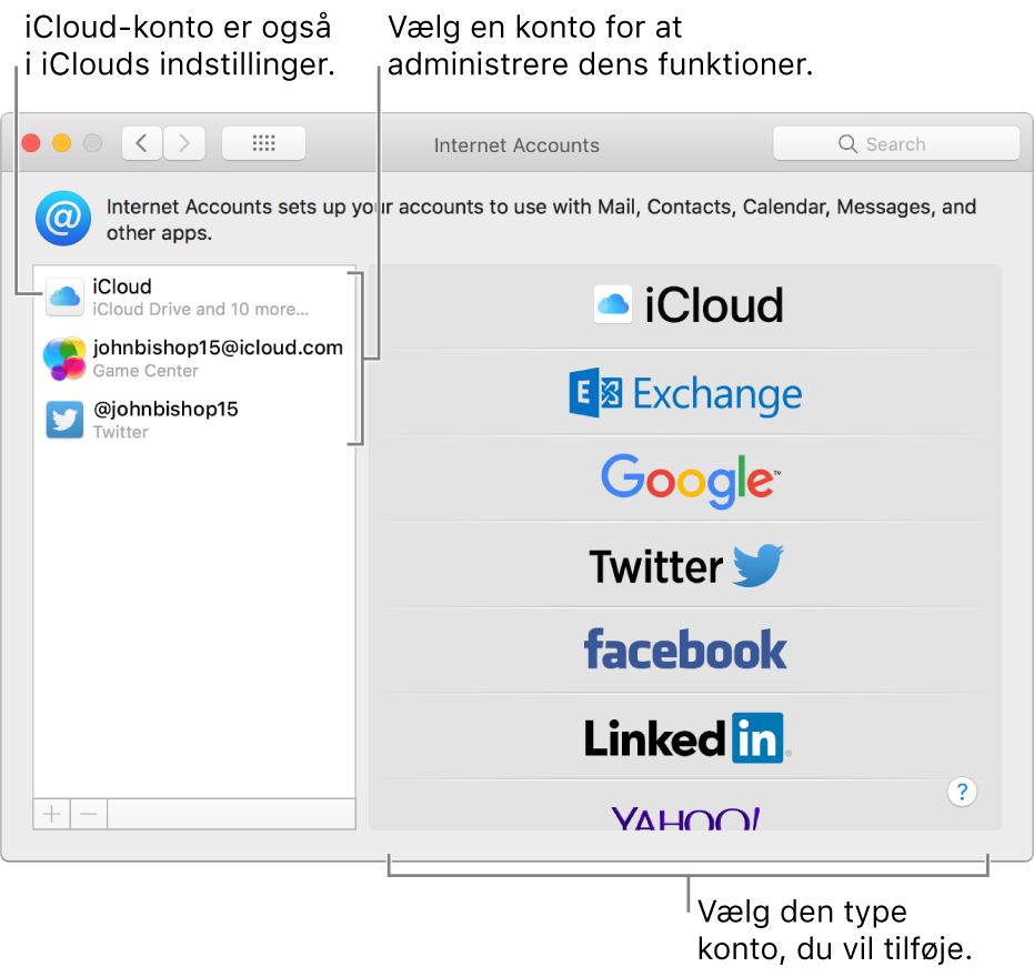 Vinduet Internetkonti, hvor iCloud- og Twitter-konti vises til højre og tilgængelige kontotyper vises til venstre.