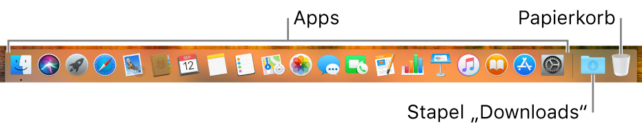 Das Dock, in dem Symbole für Apps, den Stapel „Downloads“ und den Papierkorb zu sehen sind