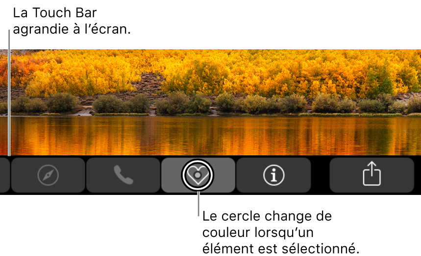 La Touch Bar agrandie en bas de l’écran, le cercle par-dessus un bouton change lorsque le bouton est sélectionné.
