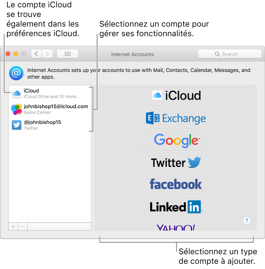 Préférences Comptes Internet avec des comptes iCloud et Twitter répertoriés à droite et les types de comptes disponibles, à gauche.
