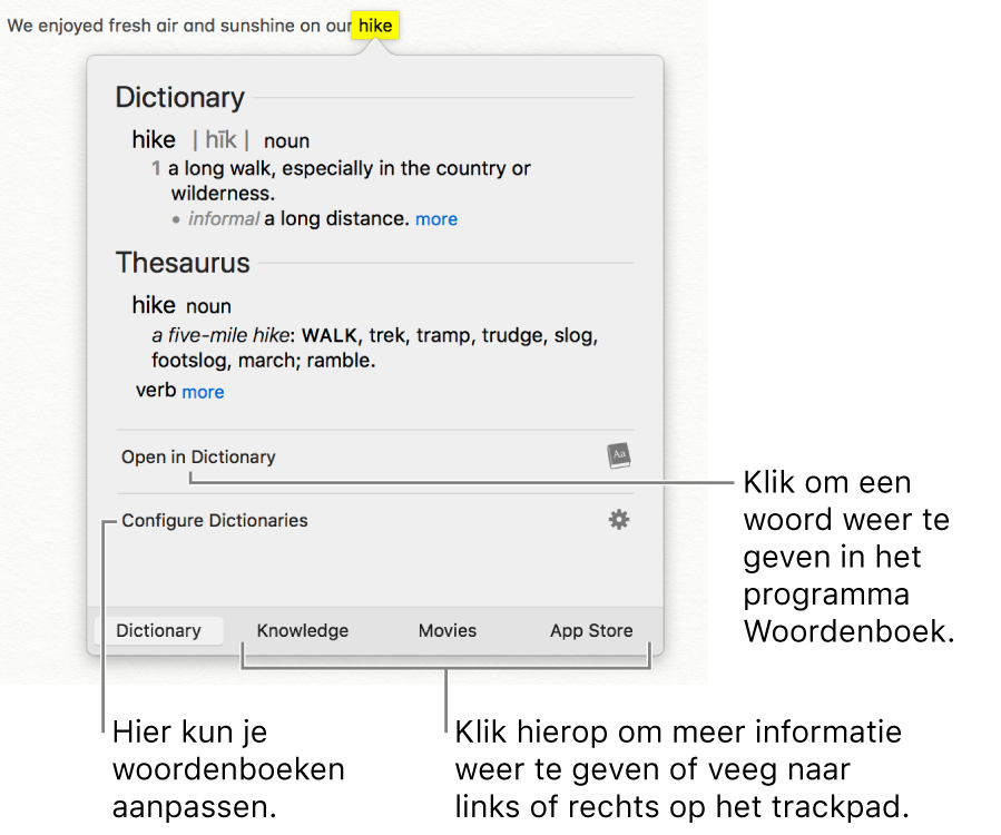 Het opzoekvenster met Woordenboek- en Thesaurus-definities voor een woord.