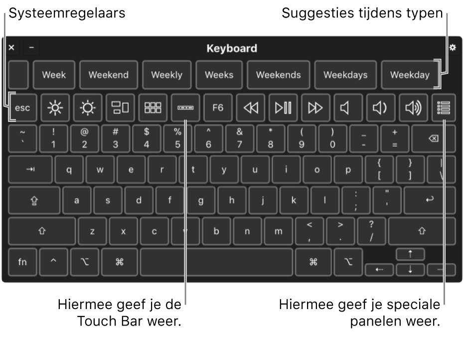 Het toegankelijkheidstoetsenbord met typesuggesties bovenaan. Onderaan staat een rij knoppen voor systeemregelaars waarmee je bijvoorbeeld de helderheid van het scherm kunt aanpassen en de Touch Bar op het scherm en aangepaste panelen kunt weergeven.
