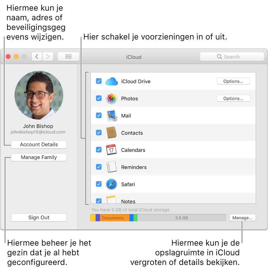 Het paneel 'iCloud' in Systeemvoorkeuren waarin alle voorzieningen zijn geselecteerd.