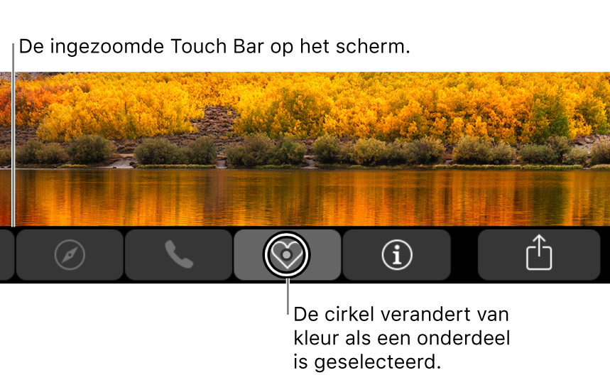 De ingezoomde Touch Bar onder in het scherm; de cirkel om een knop verandert wanneer de knop wordt geselecteerd.