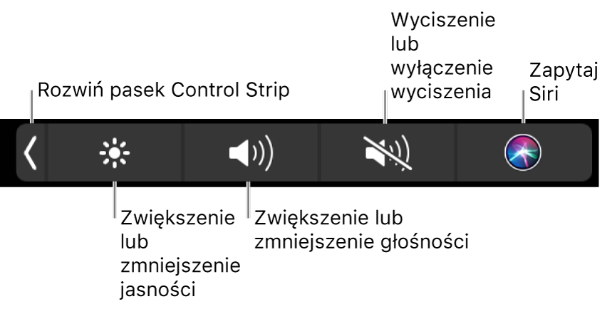 Zwinięty pasek Control Strip zawiera przyciski (od lewej do prawej) pozwalające rozwijać Control Strip, zwiększać lub zmniejszać jasność ekranu i głośność, wyciszać lub włączać dźwięk, oraz używać Siri.