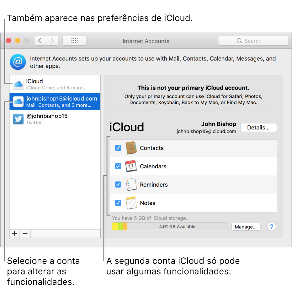 O painel de preferências de Contas da Internet a mostrar duas contas iCloud. A segunda conta, selecionada na lista à esquerda, mostra que apenas algumas funcionalidades estão disponíveis.