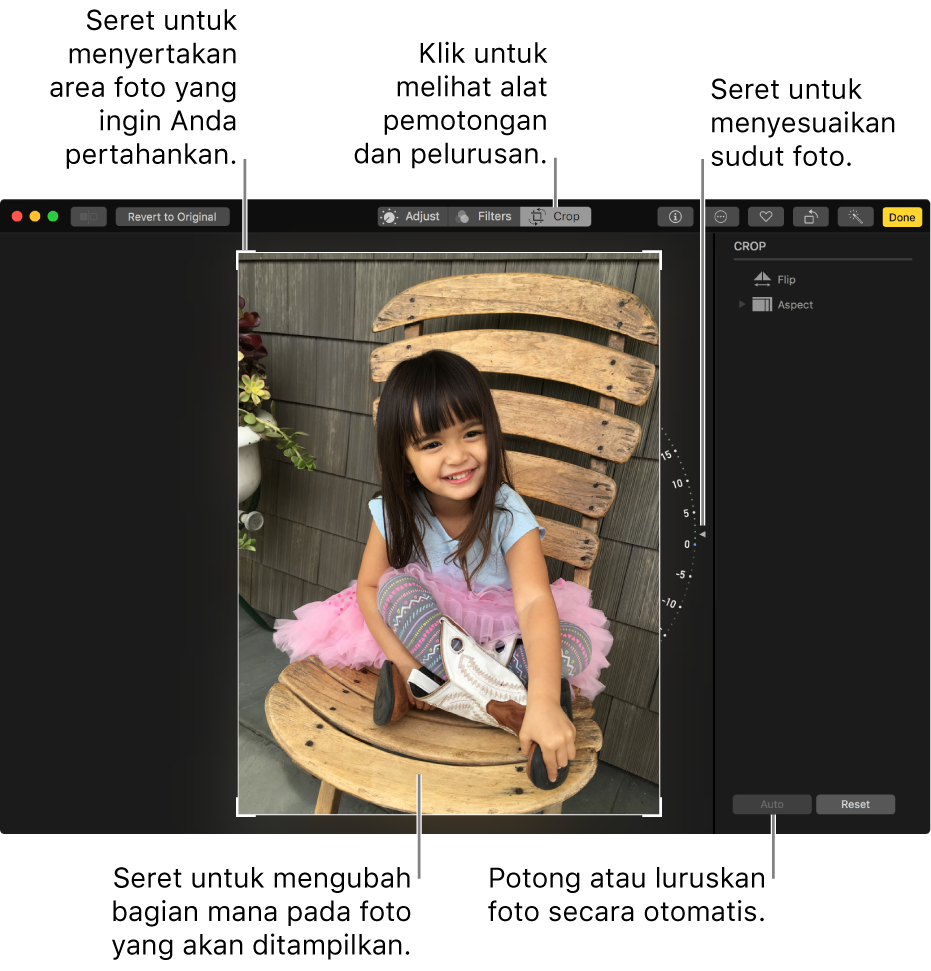 Jendela menampilkan foto dengan pilihan potong dan luruskan.