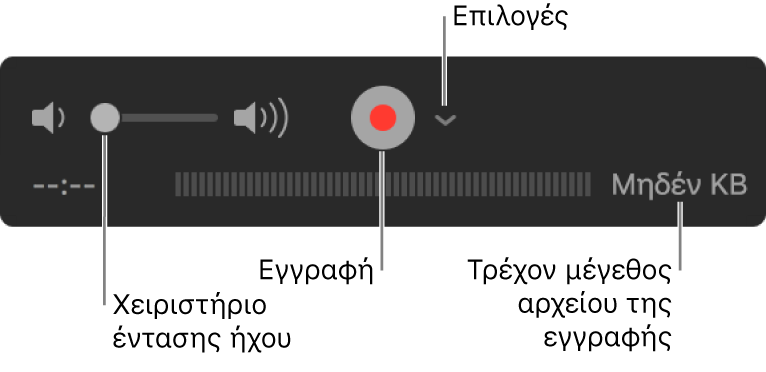 Τα χειριστήρια εγγραφής, συμπεριλαμβανομένου του χειριστηρίου έντασης ήχου, του κουμπιού Εγγραφής και του αναδυόμενου μενού Επιλογών.