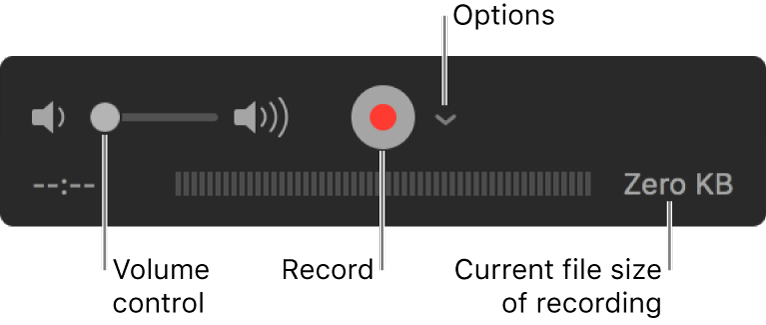 The recording controls, including the volume control, the Record button, and the Options pop-up menu.