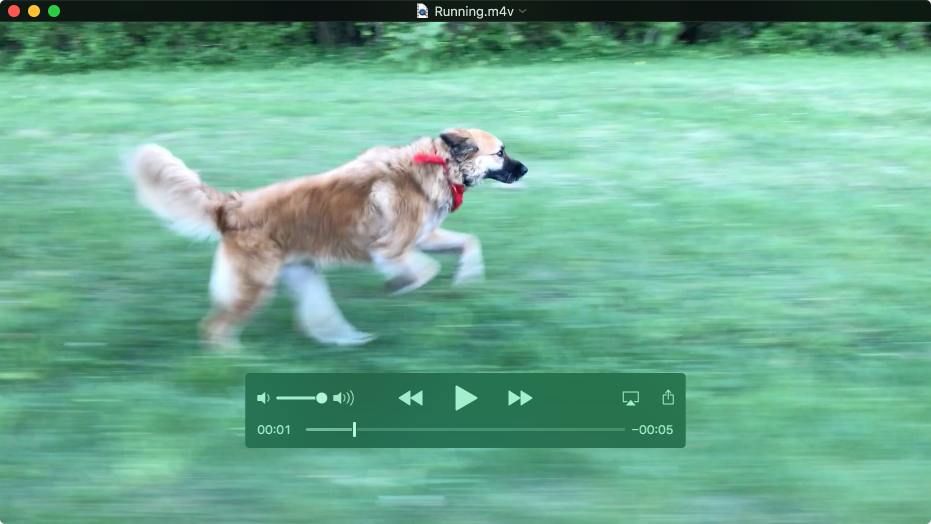 The QuickTime Player window playing a movie with the playback controls showing.