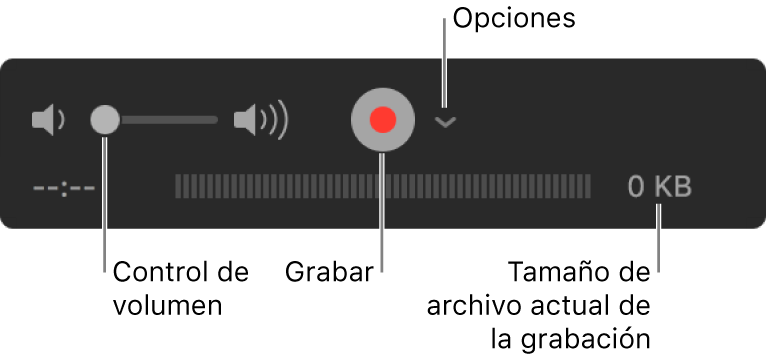 Los controles de grabación, incluido el control del volumen, el botón Grabar y el menú desplegable Opciones.