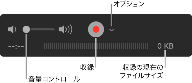 音量コントロール、収録ボタン、および「オプション」ポップアップメニューを含む収録コントロール。
