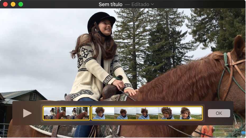 A janela do QuickTime Player mostrando o editor de clipes.