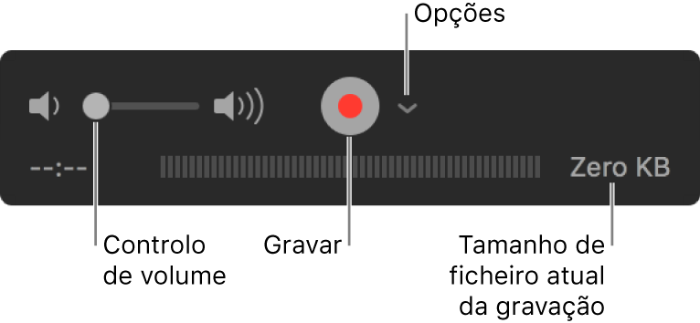 Os controlos de gravação, incluindo o controlo de volume, o botão Gravar e o menu pop-up Opções.