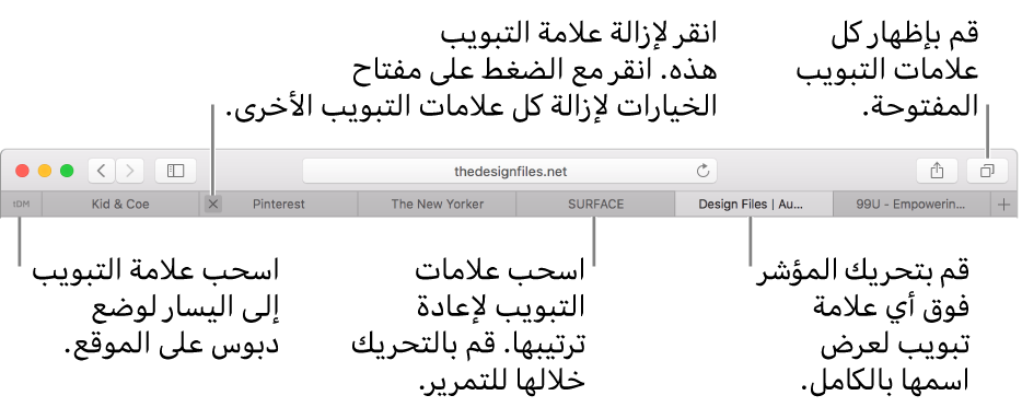 نافذة Safari وبها علامات تبويب.