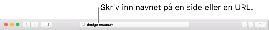 Det smarte søkefeltet i Safari, der du kan skrive inn en sides navn eller URL.