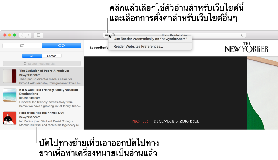 หน้าต่าง Safari ที่แสดงรายการอ่าน