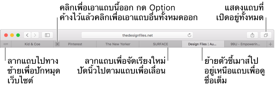 หน้าต่าง Safari ที่มีแถบต่างๆ