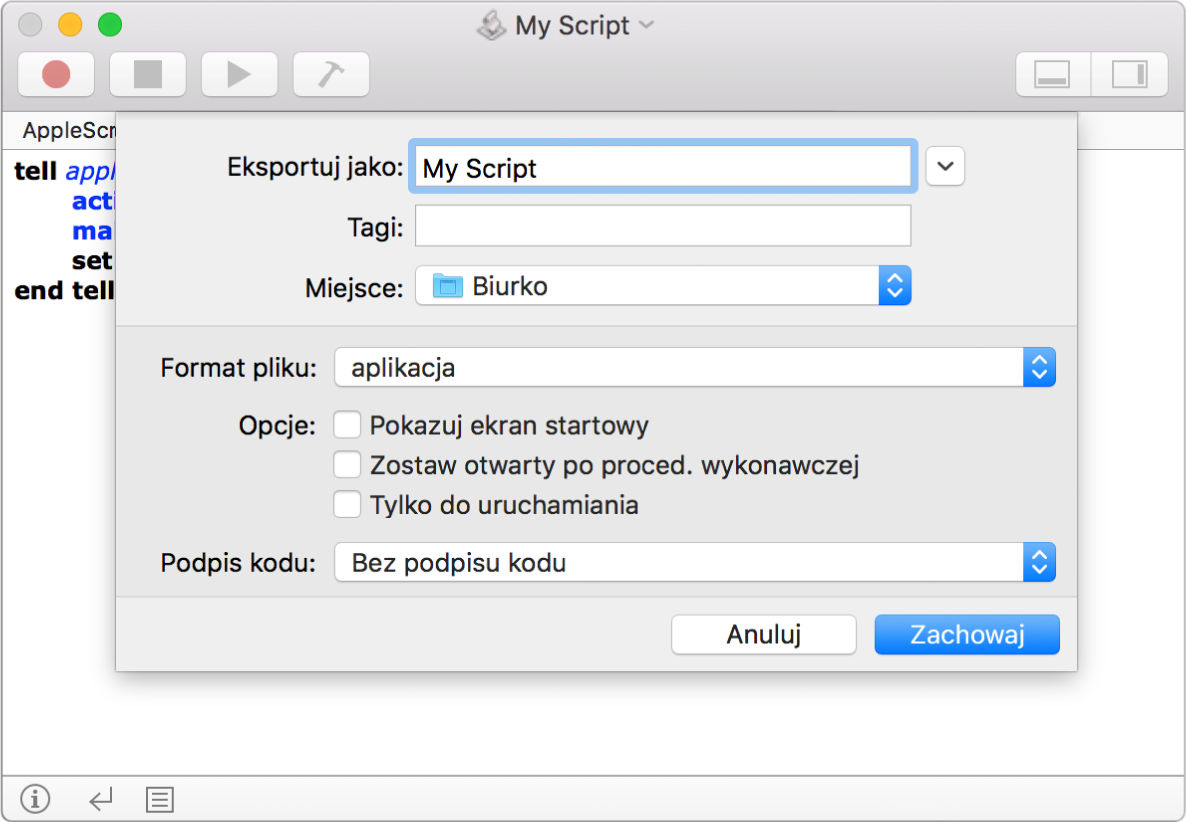 Okno dialogowe eksportowania z menu Format pliku, w którym zaznaczona jest Aplikacja oraz opcje, jakie można ustawić zachowując skrypt.