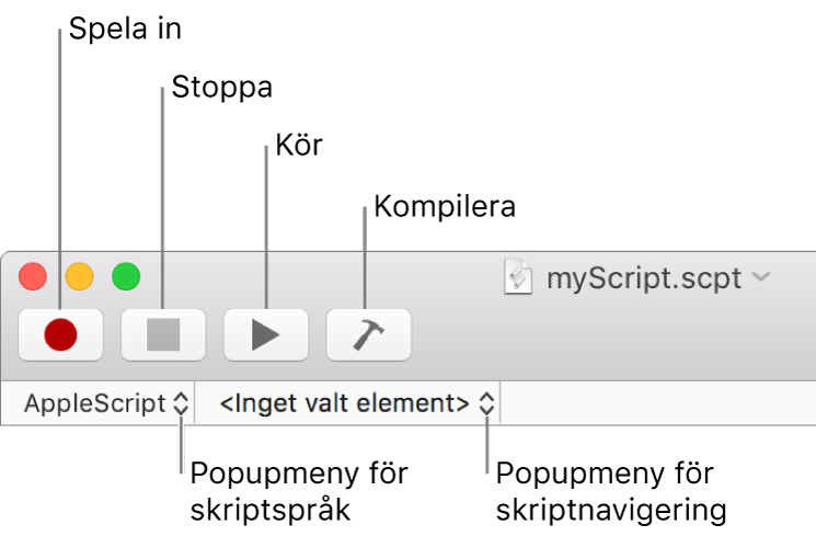 Verktygsfältet i Skriptredigerare med reglage för inspelning, stopp, kör, kompilera, skriptspråk och skriptnavigering.
