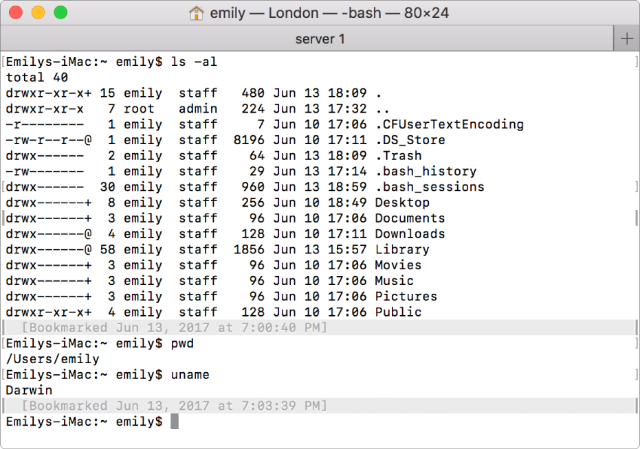 A Terminal window, showing marks and bookmarks at the left and right sides of the window, and a timestamped bookmark above a command prompt.