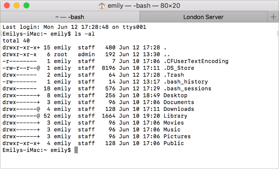 「ターミナル」ウインドウ。ディレクトリの内容を一覧表示するコマンドの出力が表示されています。別のタブは「London Server」となっています。