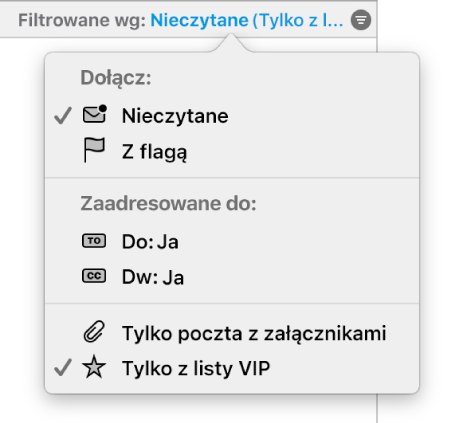 Menu filtrów pokazujące sześć możliwych filtrów: Nieczytanie, Z flagą, Do: Ja, Dw: Ja, Tylko Mail z załącznikami oraz Tylko z listy VIP.