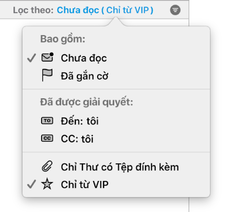 Menu bật lên bộ lọc hiển thị 6 bộ lọc có thể có: Chưa đọc, Đã gắn cờ, Đến: Tôi, CC: Tôi, Chỉ thư có tệp đính kèm và Chỉ từ VIP.