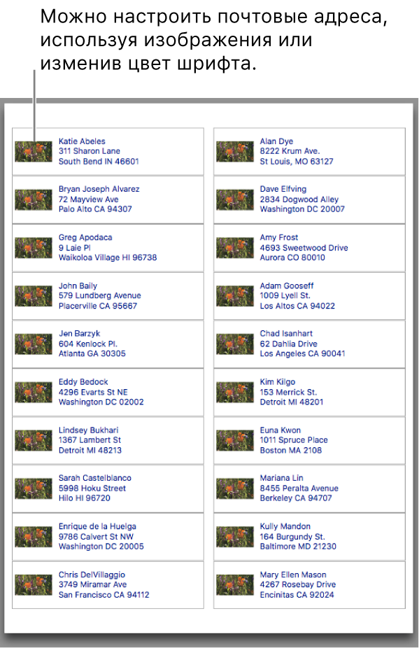 Предварительный просмотр готовых к печати почтовых этикеток с собственным изображением и измененным цветом шрифта.