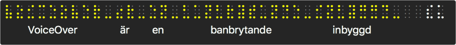 Punktskriftspanelen visar simulerade gula punktskriftspunkter och text nedanför punkterna visar vad VoiceOver läser upp.