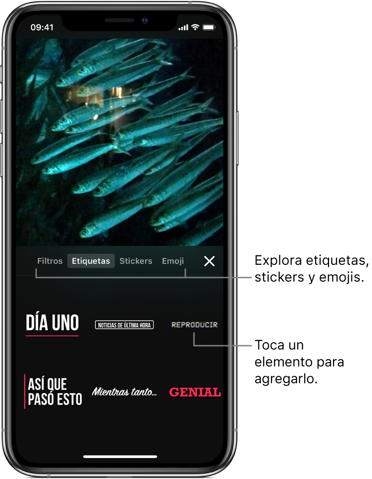 La imagen de un video en el visor, con la opción Etiquetas seleccionada y opciones de etiquetas debajo.