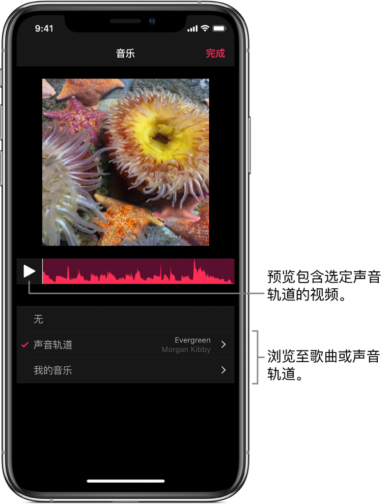 检视器中图像下方的“播放”按钮和音频波形，其中包含用于浏览声音轨道或音乐资料库的选项。