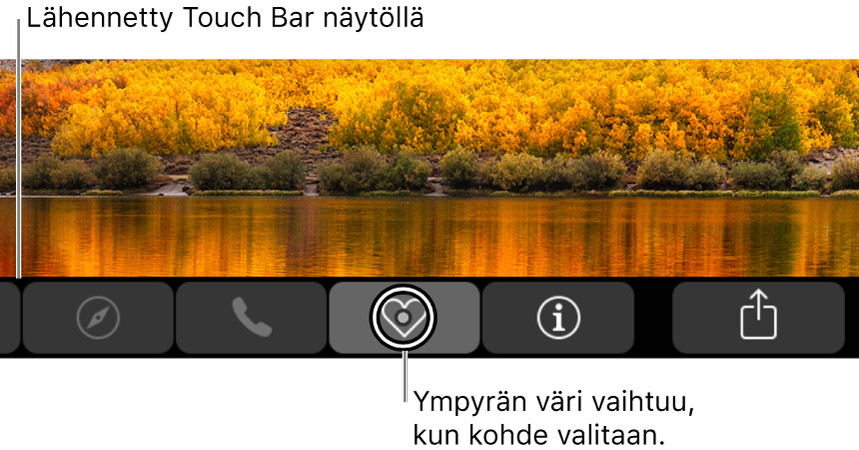 Lähennetty Touch Bar näytön alareunassa. Painikkeen ympyröinti muuttuu, kun se valitaan.