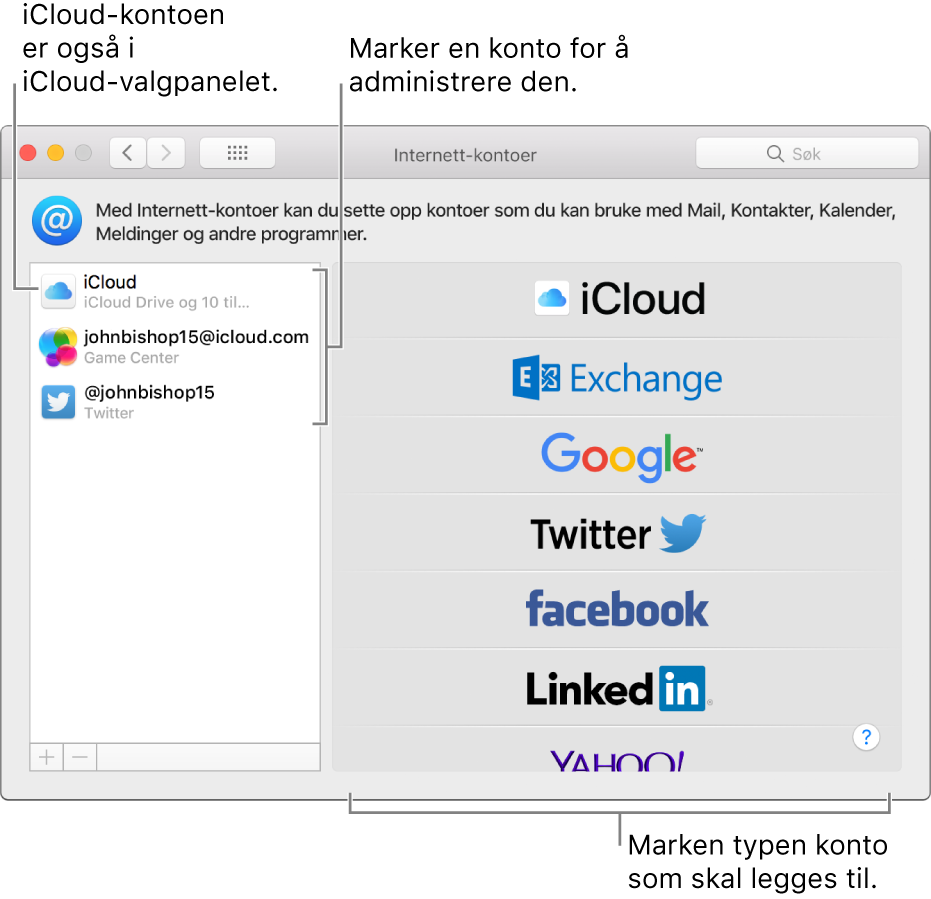 Internett-kontoer-valg med iCloud- og Twitter-kontoer oppført til høyre og tilgjengelige kontotyper i listen til venstre.