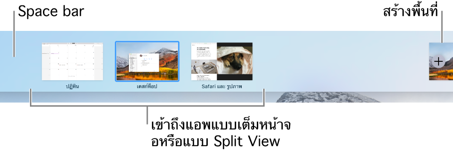 แถบ Space ที่แสดง Space ของเดสก์ท็อป แอพต่างๆ ในแบบเต็มหน้าจอหรือ Split View และปุ่มเพิ่มสำหรับสร้าง Space