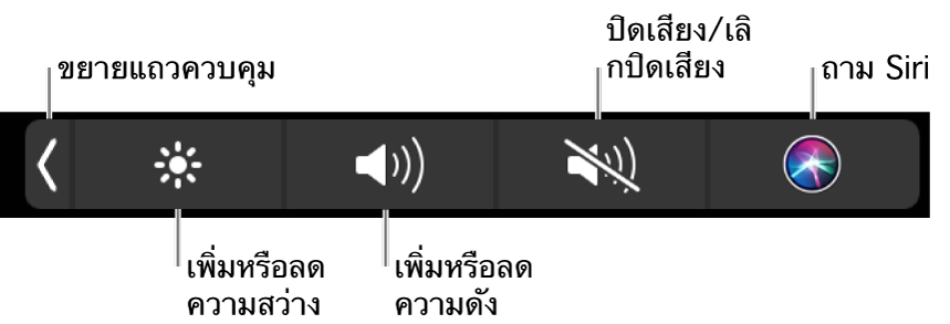 Control Strip ที่ยุบจะมีปุ่มต่างๆ เรียงจากซ้ายไปขวาดังนี้ ปุ่มสำหรับขยาย Control Strip ปุ่มสำหรับเพิ่มหรือลดความสว่างจอภาพและความดัง ปุ่มสำหรับปิดเสียงหรือเลิกปิดเสียง และปุ่มสำหรับถาม Siri