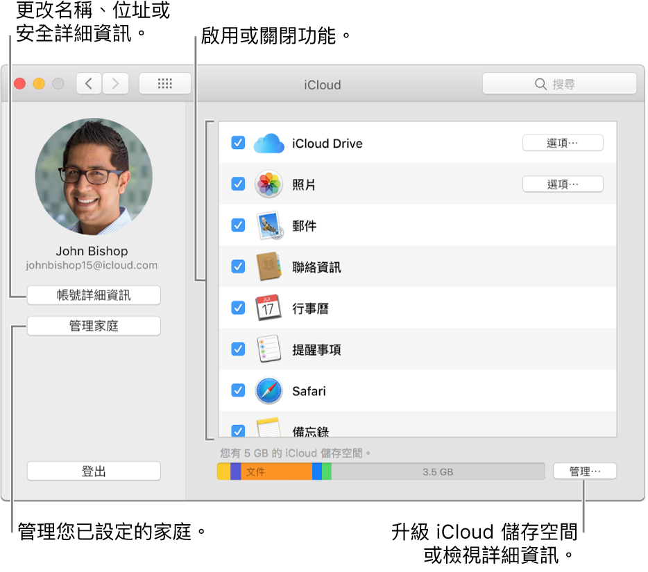 已選取所有功能的 iCloud 偏好設定。
